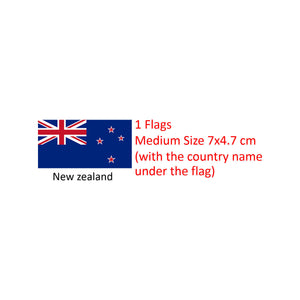 National Flag Iron Patch 7 Smalls and 1 Medium Embroidery Backpack