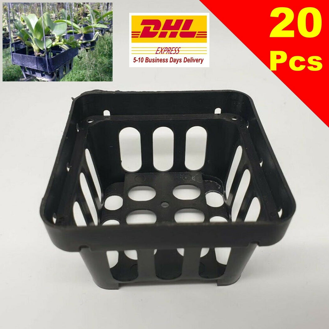 20 x Baskets Orchid Vanda Flower Pots Bonsai Plastic Garden Outdoor 3