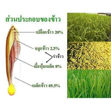 Load image into Gallery viewer, 4X Vital Star Rice Bran Oil and Rice Vital Germ Oil Caps Antioxidant Anti Aging