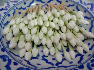 1500x Thai Jasmine Tissue Paper Flower Handcrafts Artificial Home Arts DIY