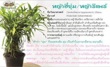 Load image into Gallery viewer, Dried Ya Hee Yum Grass Repair Herbal Vagina Fit Firm Thai Herb Natural 1000g