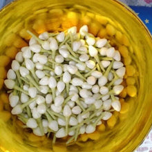 Load image into Gallery viewer, 600 x Thai Jasmine Tissue Paper Flower Handcrafts Artificial Home Arts DIY