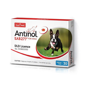 2x Antinol EAB277 Vetz Petz Dog Pain Relief Anti Inflammatory health supplement