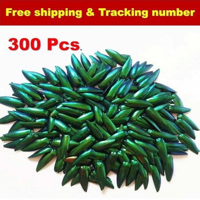 300x Green Natural Jewelry Craft Real Design Insect Elytra Jewel Beetle Wing