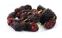 Load image into Gallery viewer, 300g Mulberry Dried Fruit Chewy Tasty Thai Doi Kham Freeze Sweet Delicious Snack