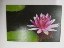 Load image into Gallery viewer, LOTUS RED WHITE pic Design Vintage Poster Magnet Fridge Collectibles Home