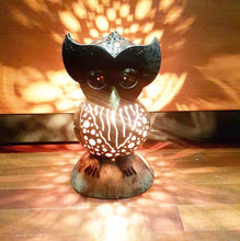 Load image into Gallery viewer, Owl Lamp Shade Table Bedside Desk Vintage Coconut Shell Wooden Home Decor Gift