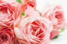 Load image into Gallery viewer, Incense Scent Rose Thai Natural Ingredient Fragrance BIG PACK Long 32cm 760g