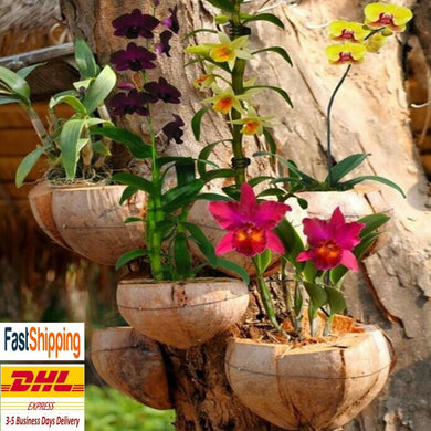 Coconut Husk Shell Hanging Orchid Basket Pot Hooks Plant Planter Hangers Pots