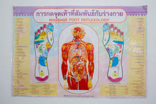 Load image into Gallery viewer, Massage Foot Reflexology Poster Training Teaching Tactic Printed