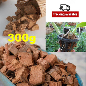 Great Growing Coconut Husk Chips Coir Fiber Orchids Flower Tree Plant Care Live