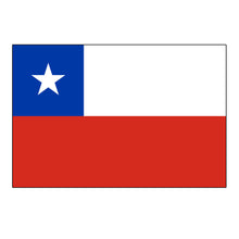 Load image into Gallery viewer, National Flag America Emblem Iron Patch Embroidery Backpack Country All World