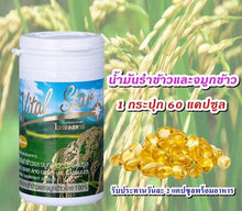 Load image into Gallery viewer, 8X Best Rice Bran Germ Oil GAMMA ORYZANAL Increase Immune System Support Health