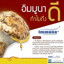 Load image into Gallery viewer, 3x Mattsutake Multi Mushroom Extract Q10 Vitamin C Super Antioxidant Immune