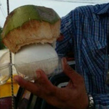 Load image into Gallery viewer, Remover Coconut Meat Tool Opener Knife Water Serving Gadget for Young Coconut