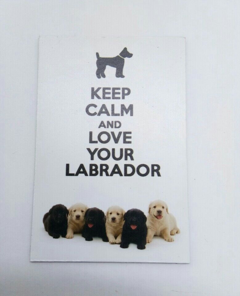 LOVE LABRADOR funny joke pic Design Vintage Poster Magnet Fridge Collectible