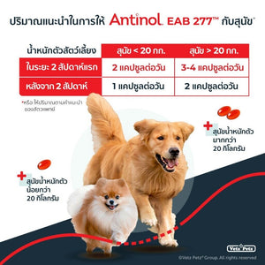 2x Antinol EAB277 Vetz Petz Dog Pain Relief Anti Inflammatory health supplement