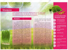 Load image into Gallery viewer, 12x WHEATGRASS Organic Super Food KHAOLAOR antioxidant chlorophyll 60 Capsules