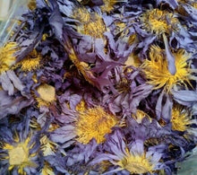 Load image into Gallery viewer, 250 g Blue Lotus Dried Flower Tea Sacred Nymphaea Caerulea Healthy Relax