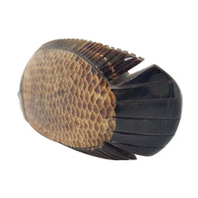Load image into Gallery viewer, Water Buffalo's Horn Carved Fish Sculpture Decor Collectible Lucky Bone Gift