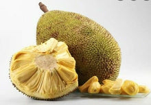 Load image into Gallery viewer, Jackfruit Freeze Dried 100% Natural Thailand Fruit Halal Snack Party Delicious