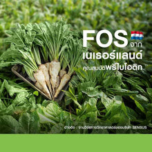 Load image into Gallery viewer, CTP Fiberry Detox Dietary Supplement Weight Loss No side effects (1x10 sachets)