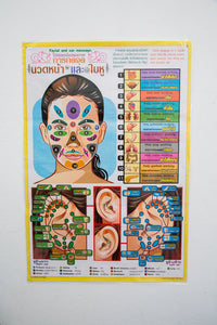 Facial and Ear Massage Poster Training Teaching Tactic Chart Printed