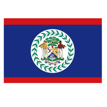 Load image into Gallery viewer, National Flag America Emblem Iron Patch Embroidery Backpack Country All World