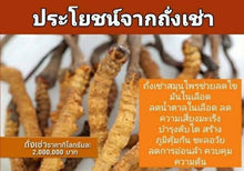 Load image into Gallery viewer, 5X CMAX Instant Coffee Ginseng Cordyceps Herbal Diet Supplement Sugar Free