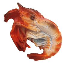 Load image into Gallery viewer, Magnet 3D Fridge Thai Foods Yummy delicious Home Decor Set Shape Magnetic Food