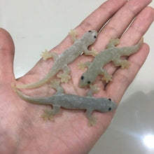 Load image into Gallery viewer, 12x Fake Realistic Rubber Lizard Reptile Animal Toy Free ship with Track