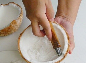 8x Coconut Grater Scraper Thai Kitchen Shredder Hand Tools Vintage Papaya Carrot