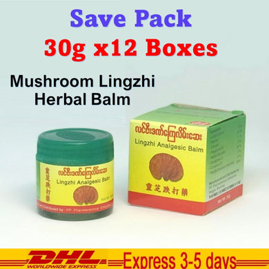 12x Mushroom Lingzhi Herbal Analgesic Product Myanmar All Natural ingredient 30g