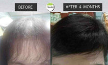 Load image into Gallery viewer, 100% Herbal Havilah Shampoo Hair Loss Protection Transplant Accelerate Long Hair