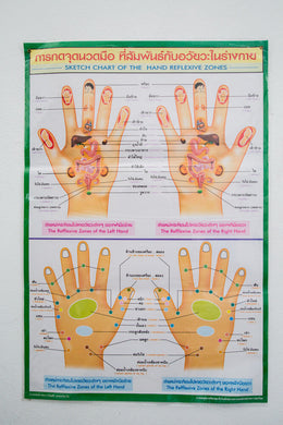 Sketch Chart of the Hand Reflexive Zones Poster Training Teaching Tactic Printed