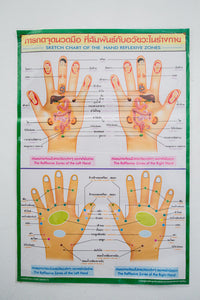 Sketch Chart of the Hand Reflexive Zones Poster Training Teaching Tactic Printed
