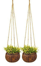 Load image into Gallery viewer, Coconut Shell Hanging Plant Natural Pot Outdoor Garden Home Decor Hanger (2Pcs)