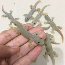 Load image into Gallery viewer, 12x Fake Realistic Rubber Lizard Reptile Animal Toy Free ship with Track